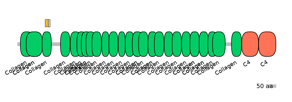 RnoINT0039860-EXC