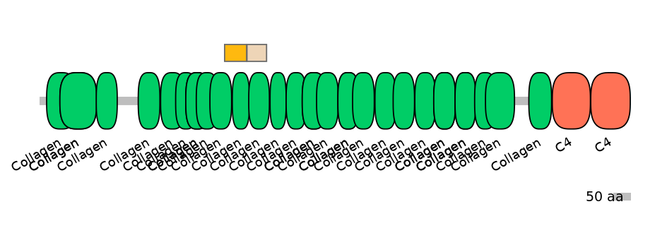 RnoINT0039875-EXC