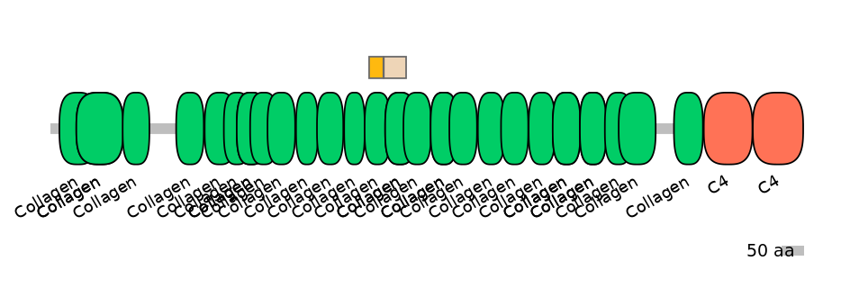 RnoINT0039879-EXC