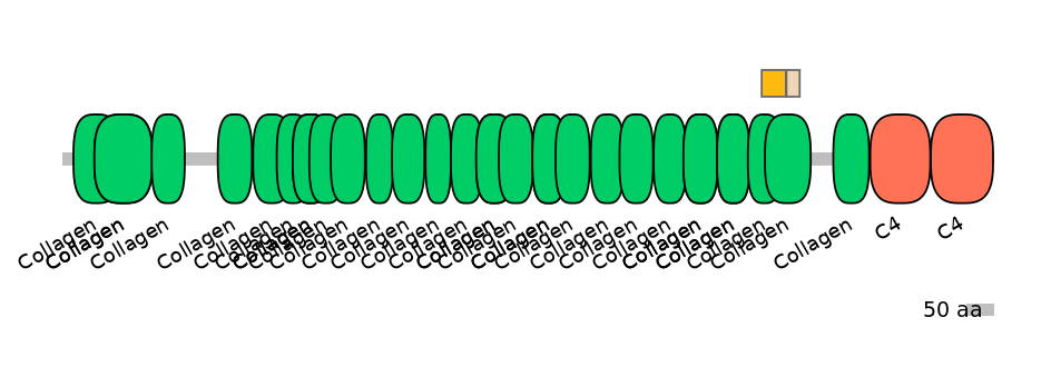RnoINT0039894-EXC