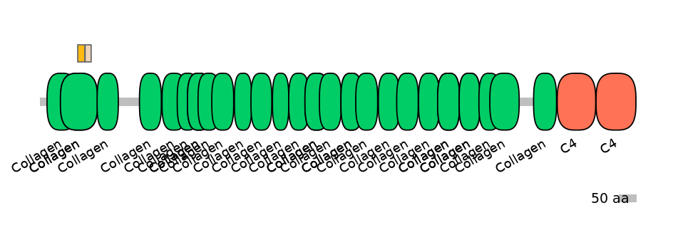RnoINT0039904-EXC