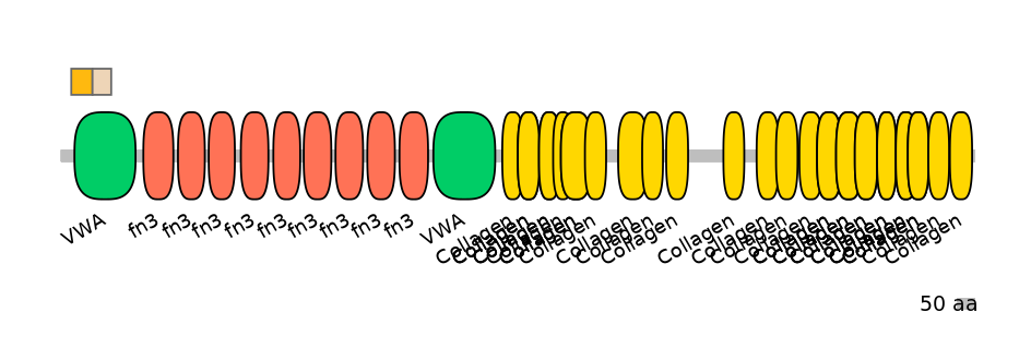 RnoINT0040326-EXC