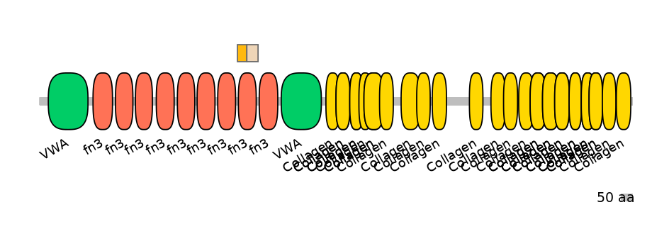 RnoINT0040327-EXC