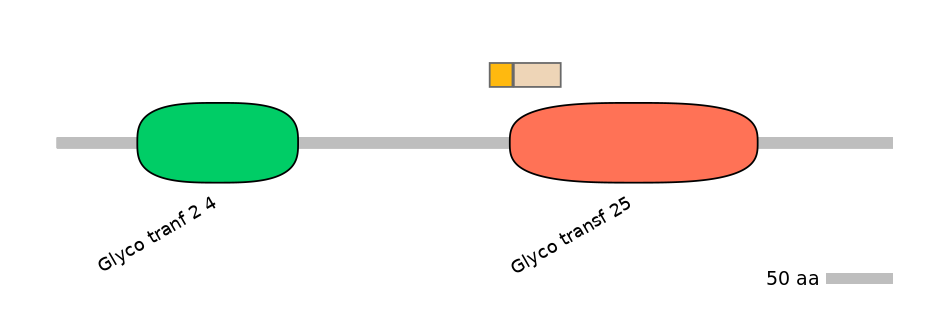 RnoINT0040561-EXC