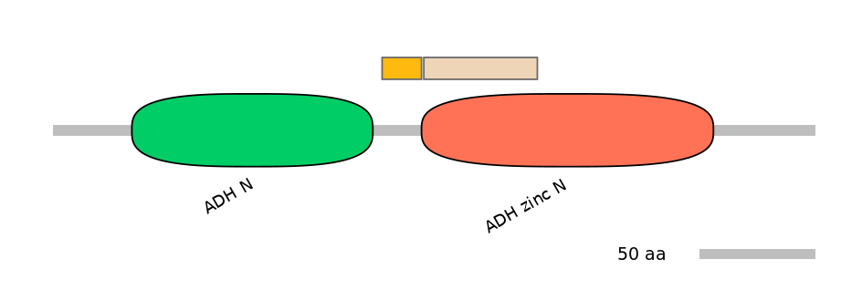 RnoINT0042405-EXC