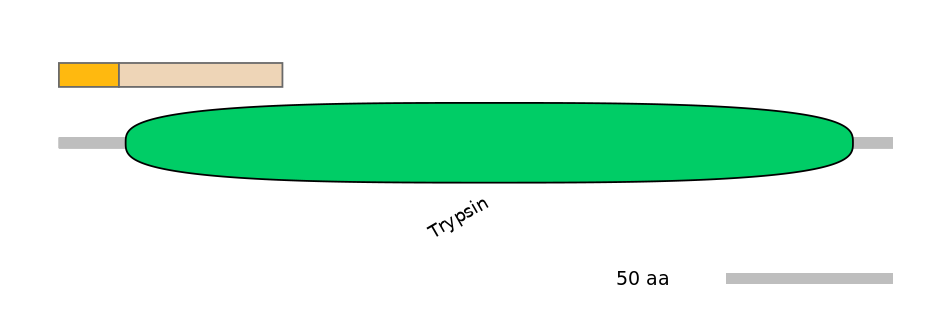 RnoINT0043336-EXC