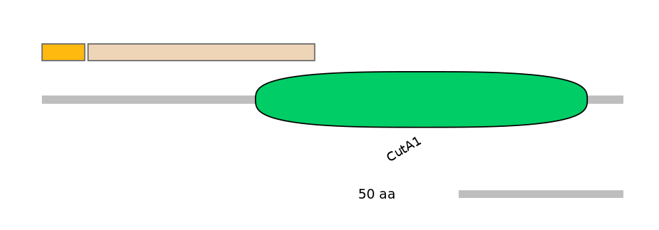 RnoINT0043715-EXC