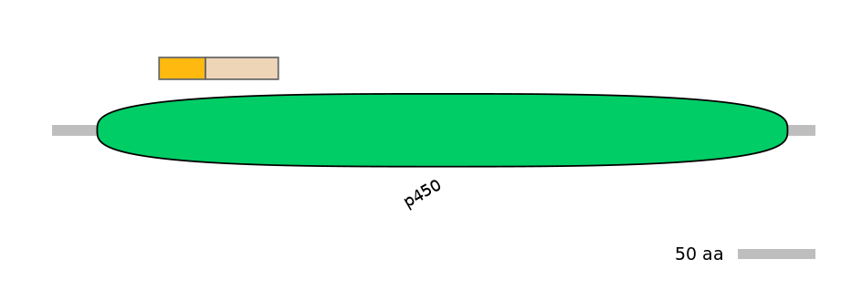 RnoINT0044197-EXC