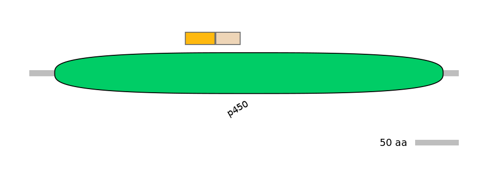 RnoINT0044200-EXC