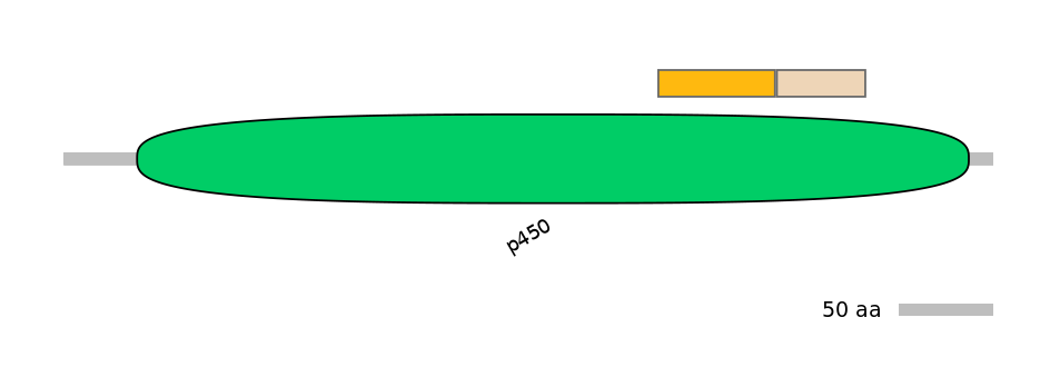 RnoINT0044256-EXC