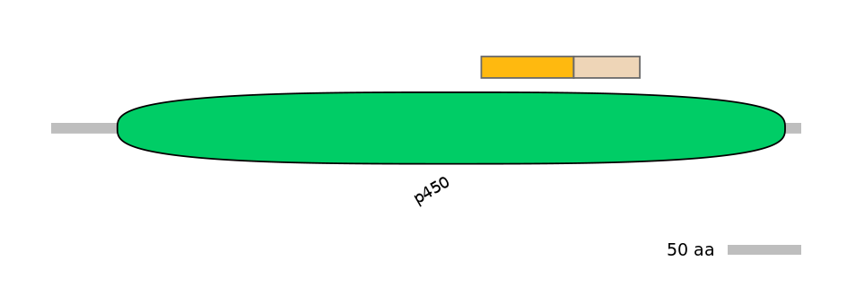 RnoINT0044542-EXC