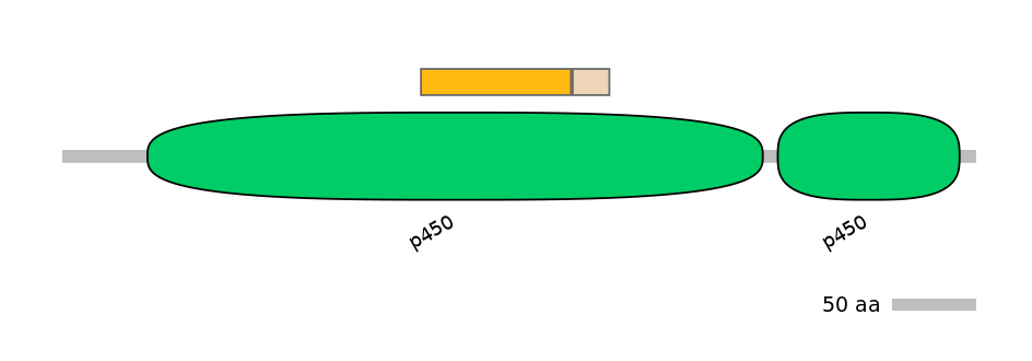 RnoINT0044562-EXC