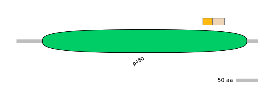 RnoINT0044580-EXC