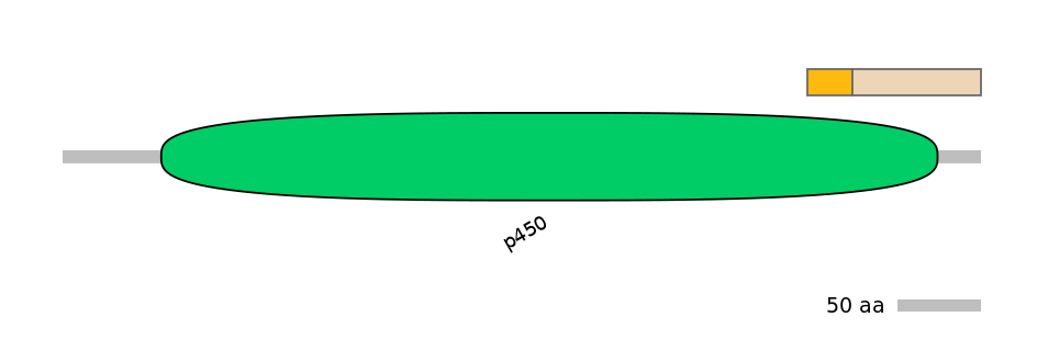RnoINT0044581-EXC