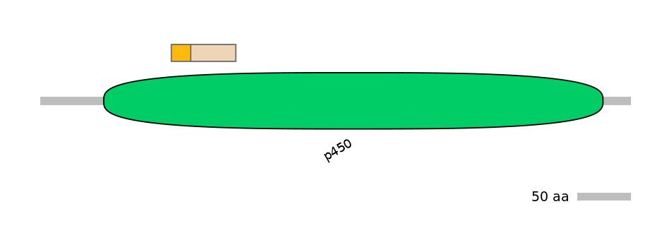 RnoINT0044583-EXC