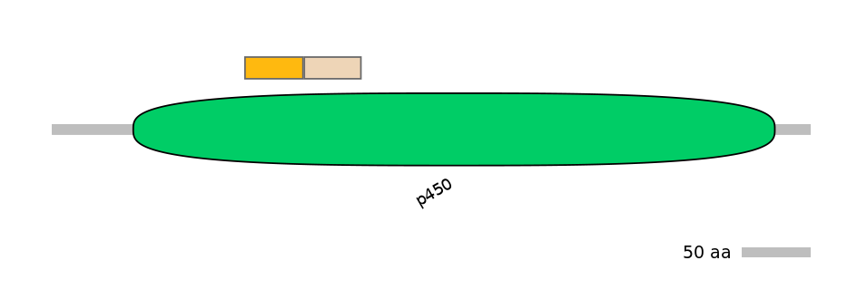 RnoINT0044584-EXC