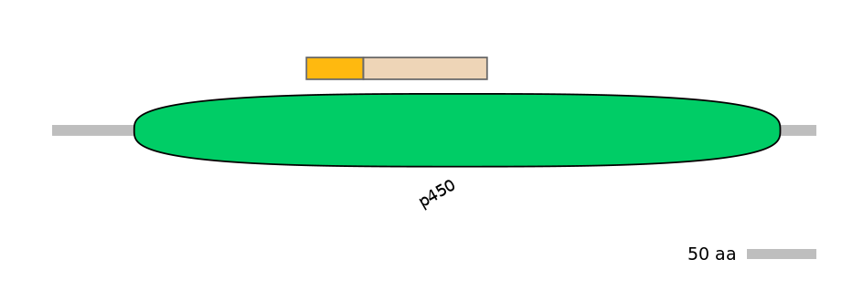 RnoINT0044585-EXC