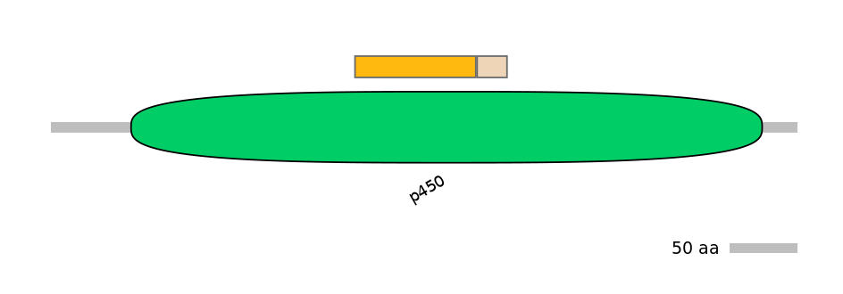 RnoINT0044586-EXC