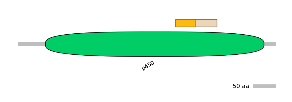 RnoINT0044588-EXC