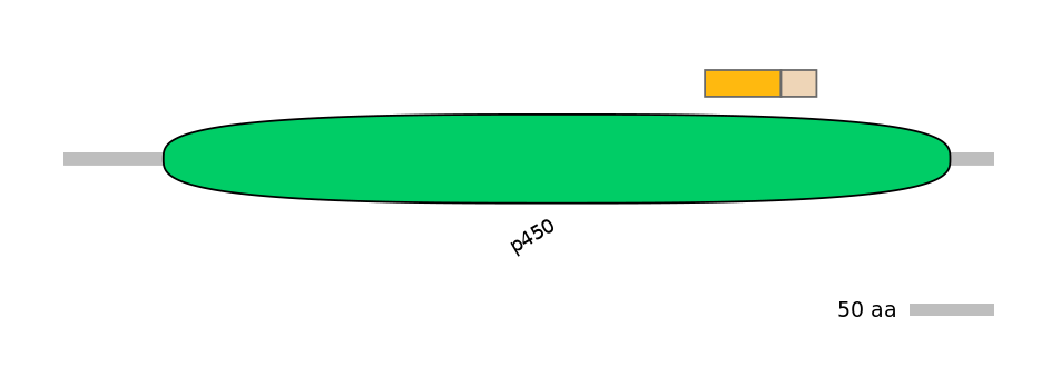 RnoINT0044589-EXC