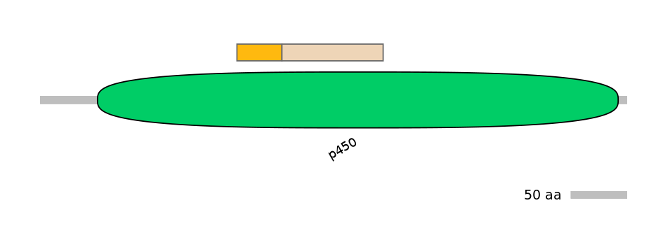RnoINT0044598-EXC