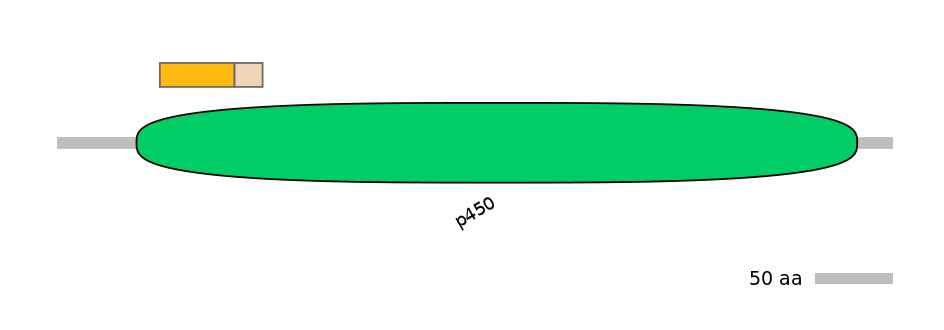 RnoINT0044620-EXC