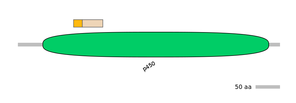 RnoINT0044621-EXC