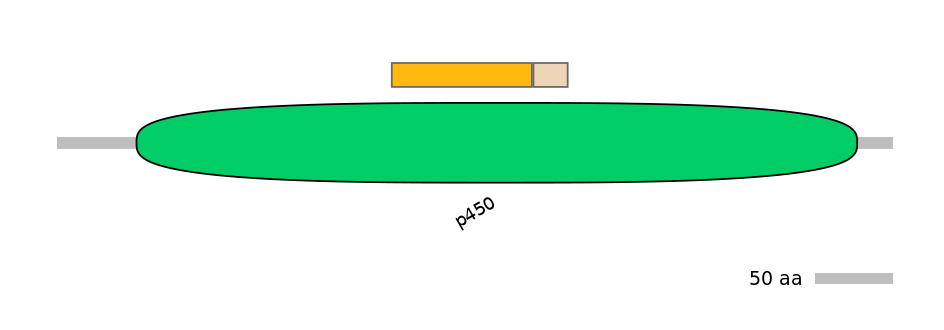 RnoINT0044624-EXC