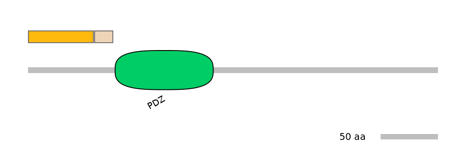 RnoINT0044724-EXC