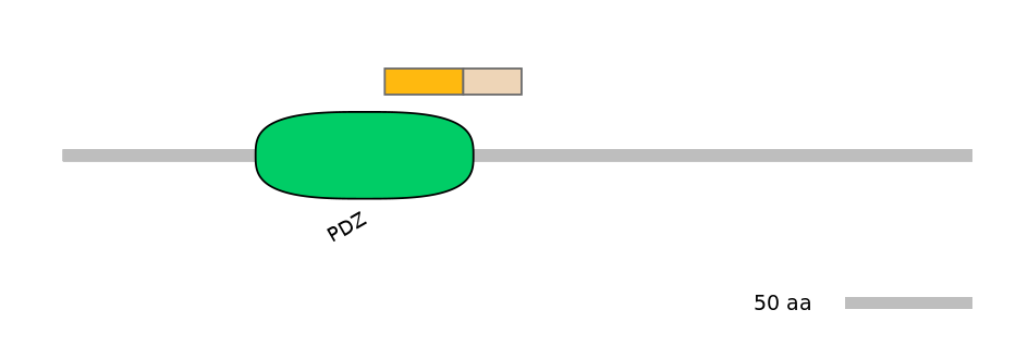 RnoINT0044728-EXC