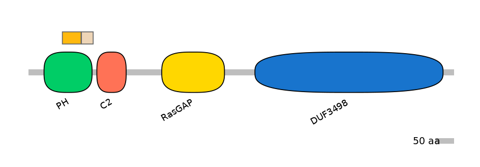 RnoINT0044837-EXC