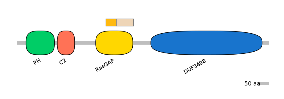 RnoINT0044841-EXC