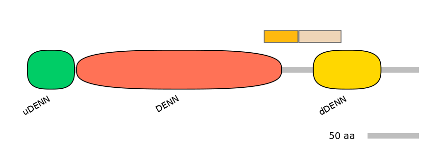RnoINT0046426-EXC