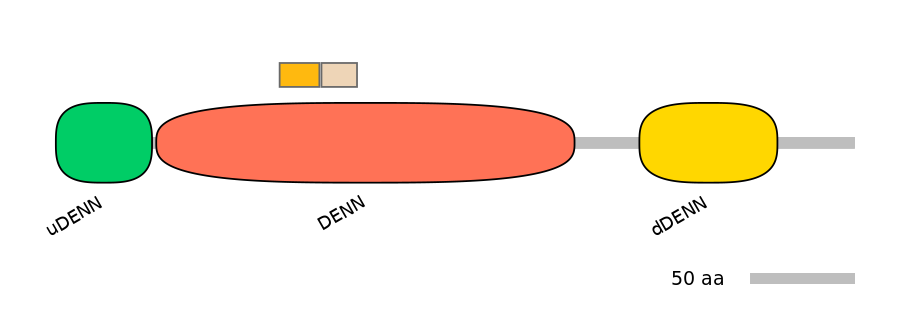 RnoINT0046432-EXC