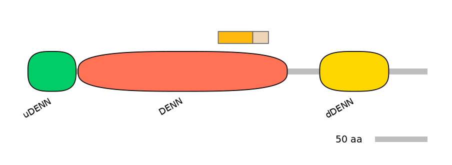 RnoINT0046435-EXC