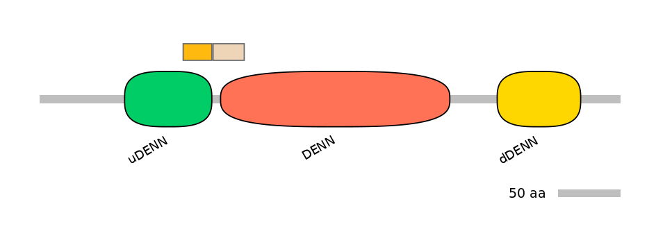 RnoINT0046501-EXC