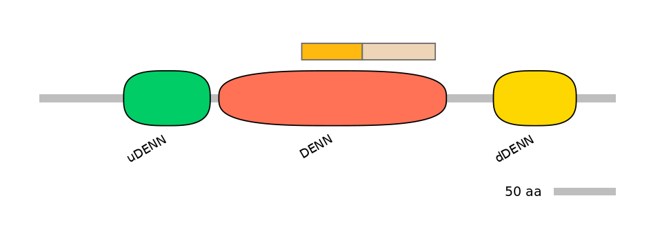 RnoINT0046504-EXC