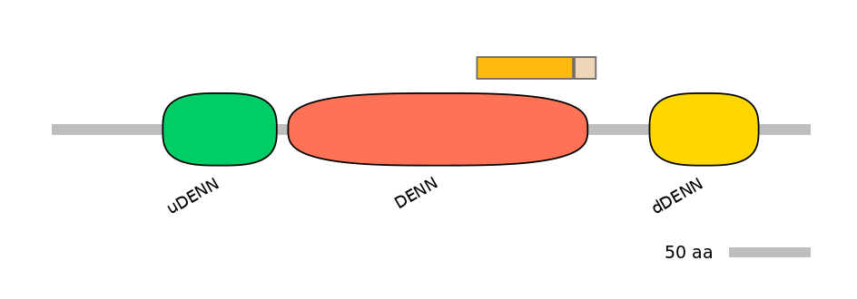 RnoINT0046505-EXC