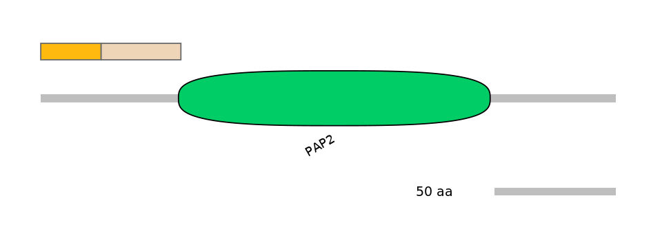 RnoINT0050547-EXC