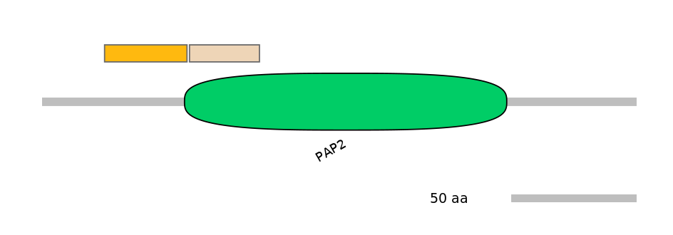 RnoINT0050548-EXC