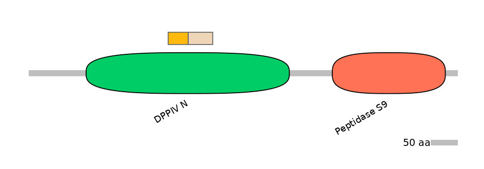 RnoINT0050820-EXC