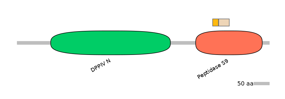 RnoINT0050832-EXC