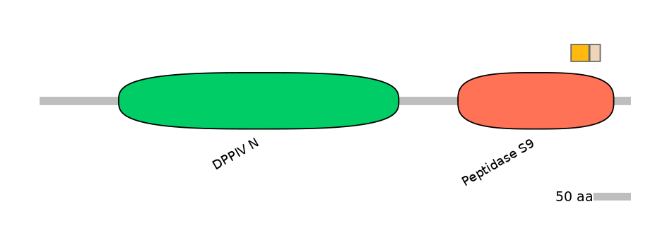 RnoINT0050836-EXC