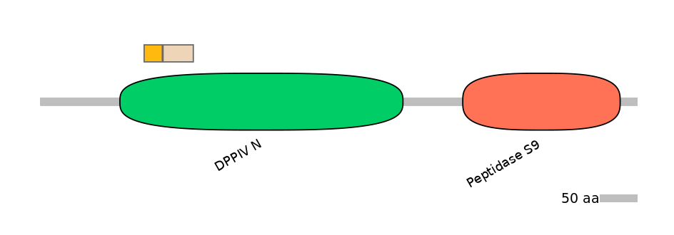 RnoINT0050842-EXC