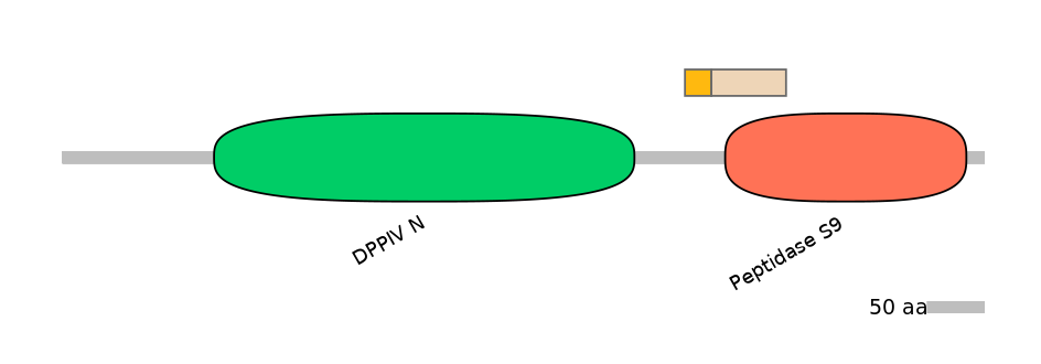 RnoINT0050855-EXC