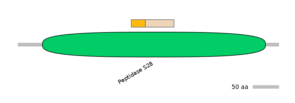 RnoINT0050878-EXC