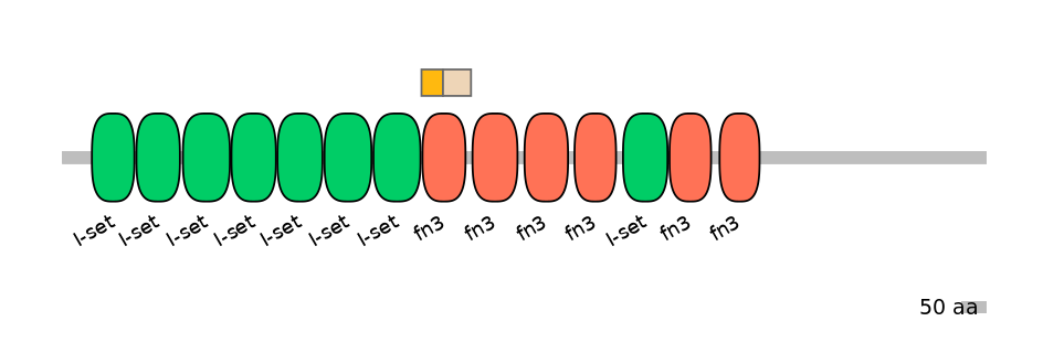 RnoINT0051312-EXC