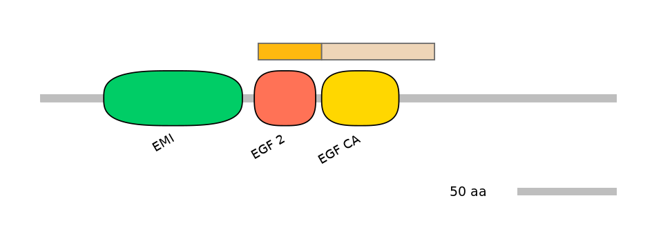 RnoINT0053400-EXC