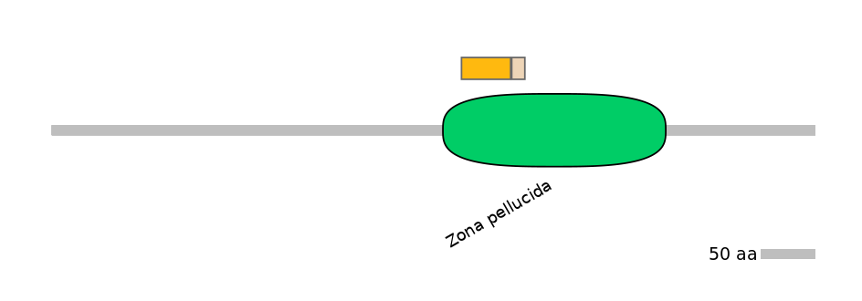 RnoINT0054943-EXC
