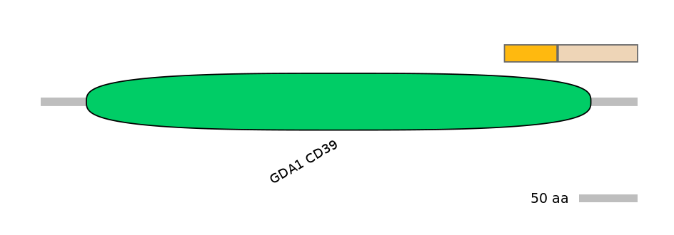 RnoINT0055162-EXC